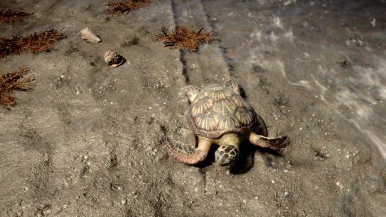 Sons of the Forest turtle shell use: A turtle shambles across the coastline in Sons of the Forest, surrounded by sand and shells