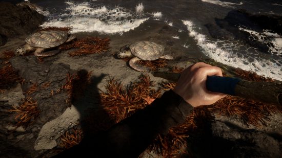 Sons of the Forest: el jugador apunta con una lanza a una tortuga en una playa.
