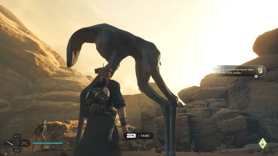 Spamels are the mount you can find wandering around Star Wars Jedi Survivor Jedha. They look like very long, spindly, and derpy greyhounds.