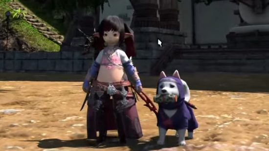 FFXIV 6.4 Surat Langsung 77 - Karakter pemain Lallafel berdiri di sebelah Minion Anak Anjing yang baru