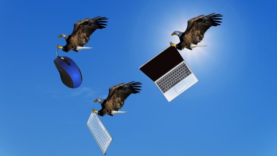 Memorial Day sales: image shows eagles flying to deliver amazing PC hardware deals.