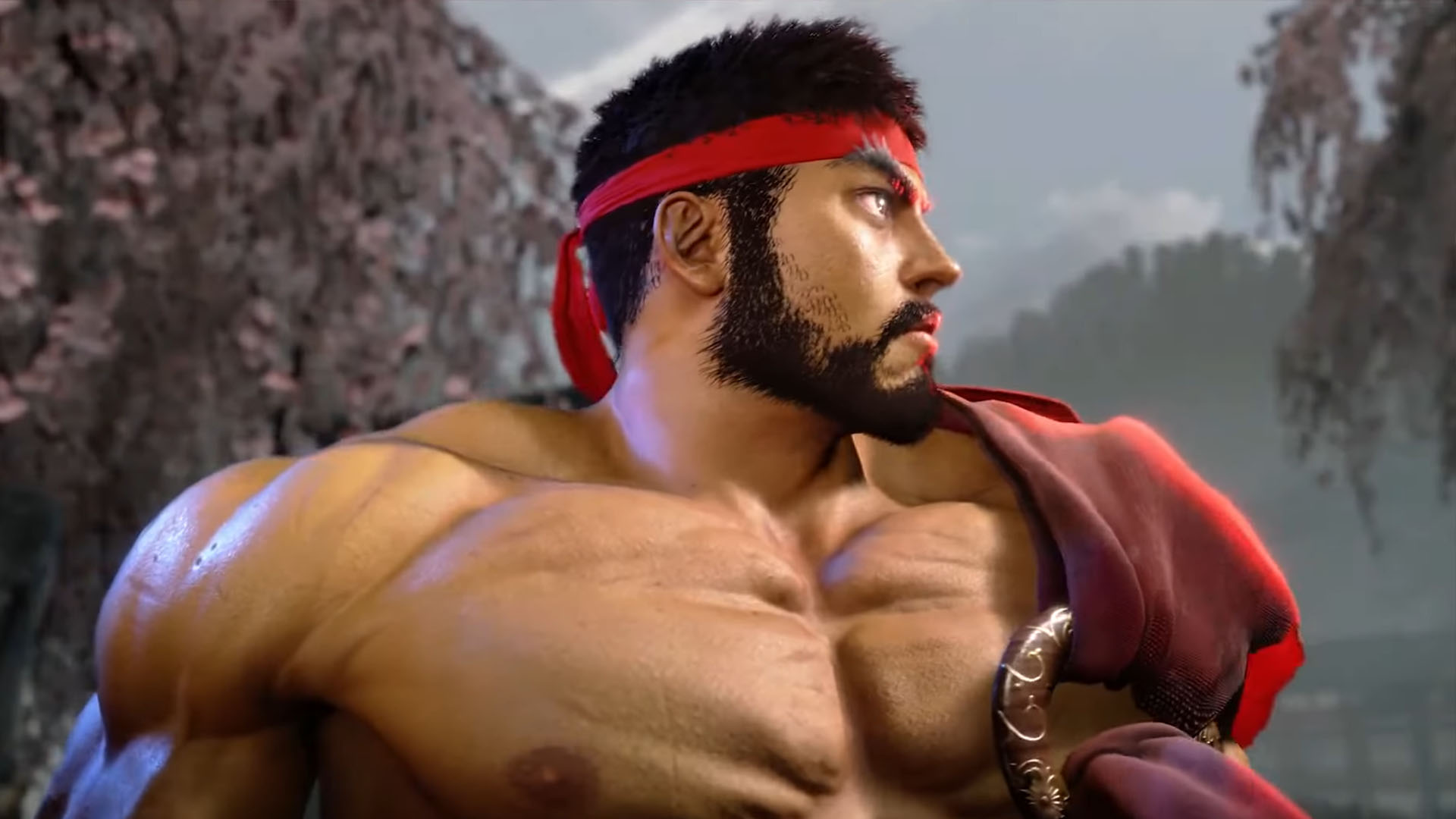 Street Fighter 5's final character is a link to Street Fighter 6