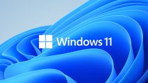The Windows 11 flora wallpaper with the operating system's logo embossed on it
