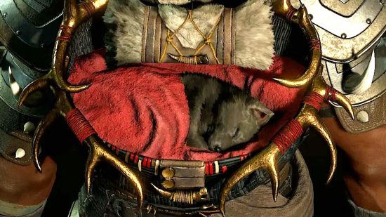 The Diablo 4 wolf pup, otherwise known as the Beta Wolf Pack cosmetic item that can be redeemed by players who took part in the server slam, a backpack framed in antlers and carrying a black-furred wolf pup curled in a red blanket.