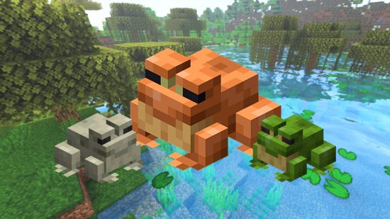 The three types of Minecraft frogs over a backdrop of a swamp biome, where the mob can be found.