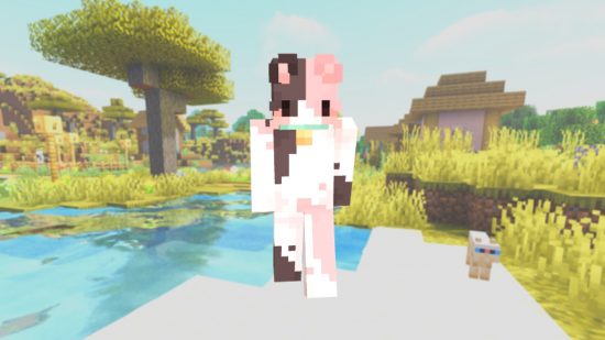 A Minecraft cat skin with grey, white, and pink party fur, and small black eyes.