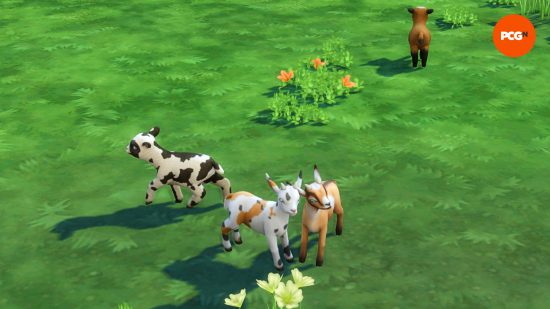 A group of four goats, each with different colors and patterns, stands in a grassy field with flowers