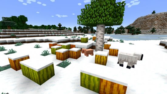 Pumpkins in a range of colors sit on the snow, in front of a birch tree, a pig, and a sheep, in one of the best Minecraft Texture packs for 1.20, Jicklus.