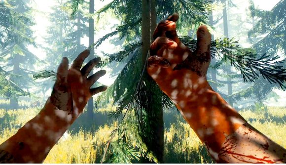 The Forest cheats: The player holds their hands up in front of their face, the background is full of green fir trees.