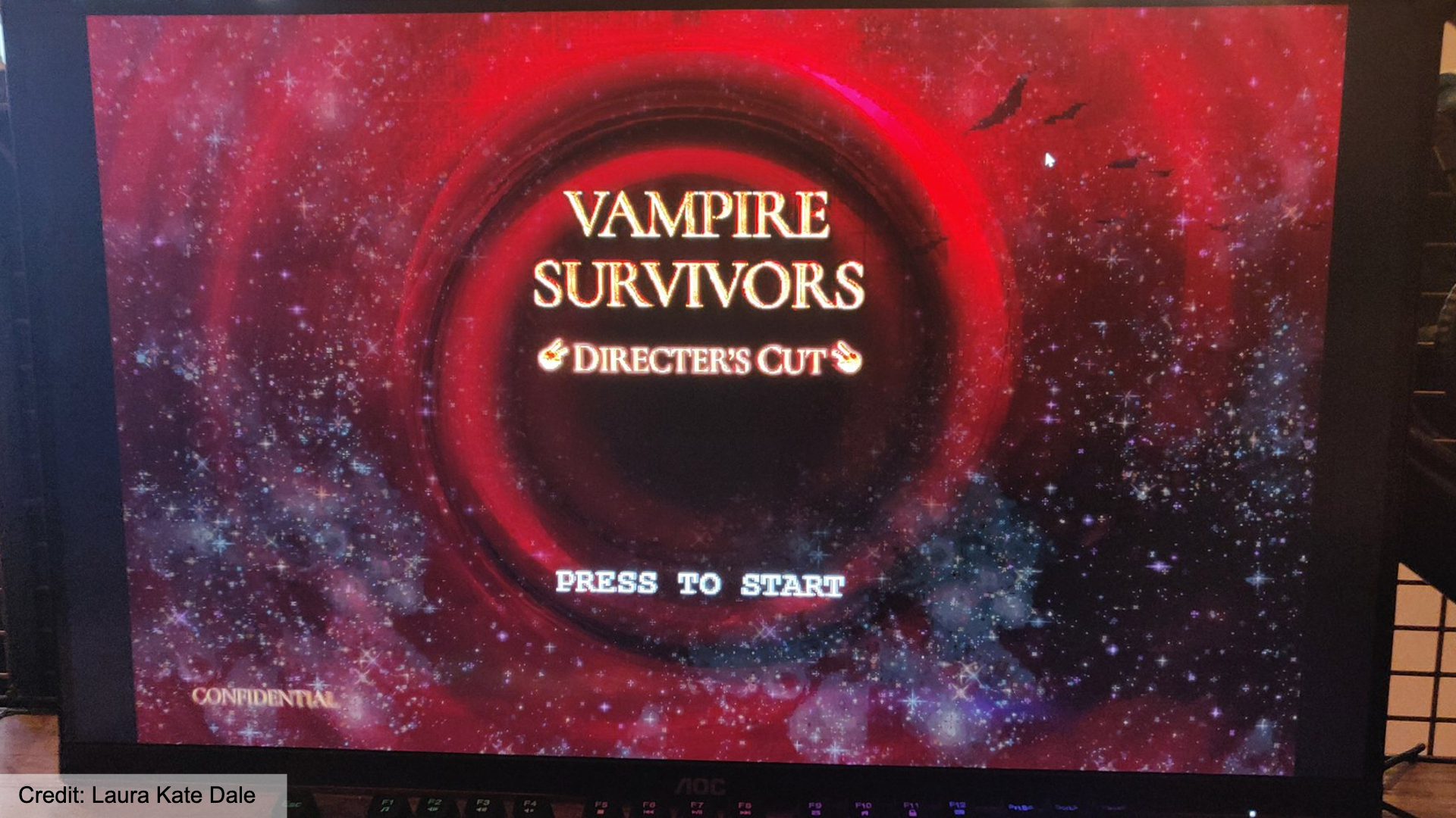 An image showing the alleged Vampire Survivors Director's Cut game menu