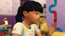 The Sims 4 death by hamster: a young girl with tied-back black hair is bit by a tan and white hamster on her face