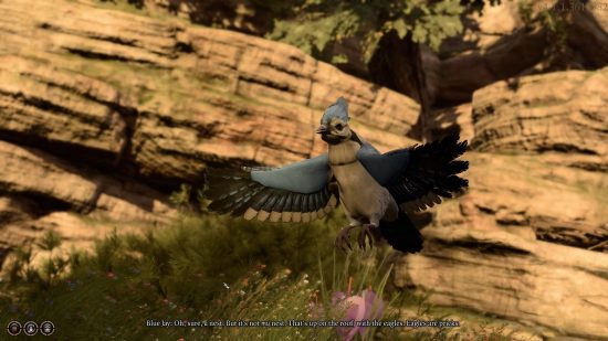 Baldur's Gate 3 speak with animals: a bluejays talks about they dislike eagles. A lot.