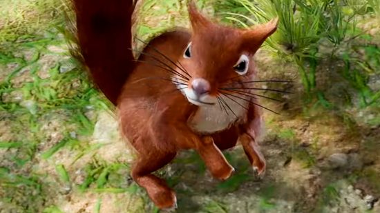 Baldur's Gate 3 squirrel kick - Timber, a red squirrel voiced by Beth Park, found in the Druid's Grove.