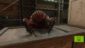 A screenshot from Half-Life 2 RTX, in which a headcrab sits atop a cardboard box