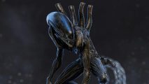 Dead by Daylight update: Xenomorph from Alien stands with its head cocked to the side