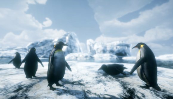 Wildlands penguins sliding on icebergs and standing in a group