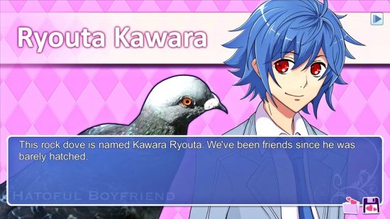 Ryouta Kawara in his human and avian form in Hatoful Boyfriend, one of the best visual novels.