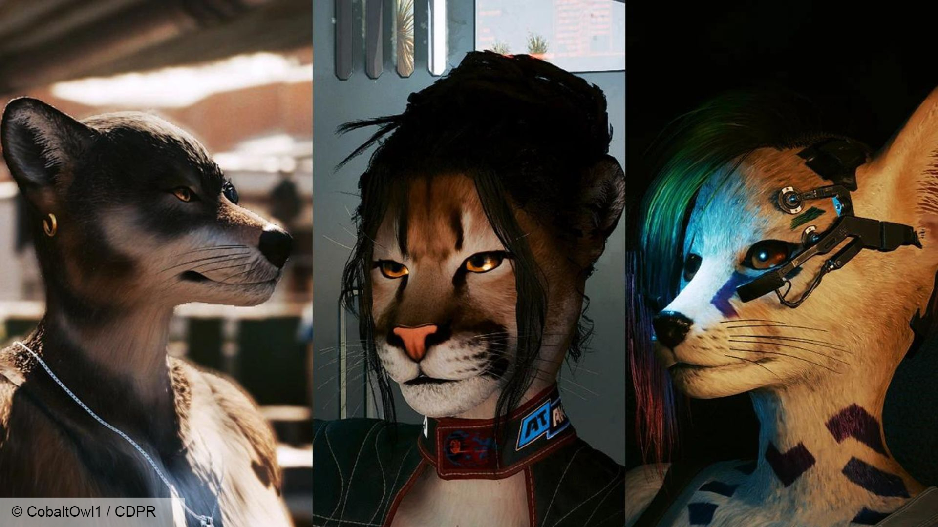 Cyberpunk 2077 has furries now, and they’re canon