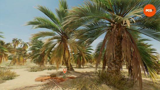 AC Mirage enigmas: a blanket set out between two palm trees.