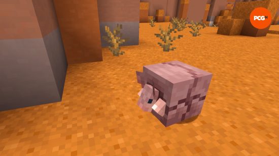 A minecraft armadillo peeks out from its ball to check for danger.