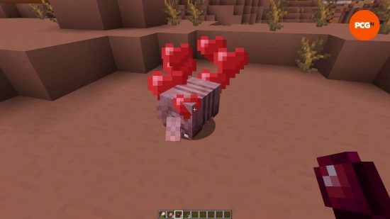 Red hearts appear above a Minecraft armadillo, having been fed a spider eye, showing that it has entered love mode for breeding.