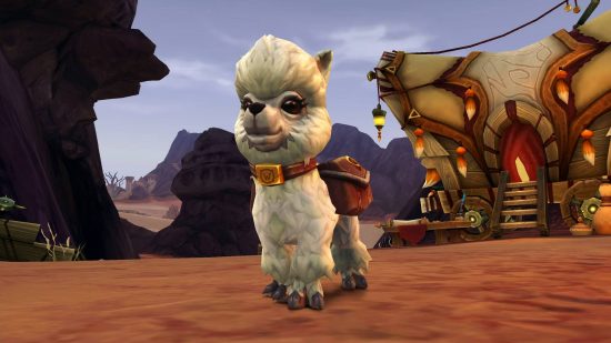 Controversial new WoW Twitch drops include former charity pet: A small alpaca with white fur stands in a desert area