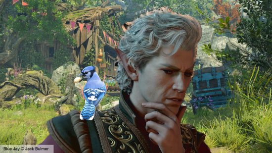 Baldur's Gate 3 blue jays - A small bird perches on Astarion's shoulder as he strokes his chin.