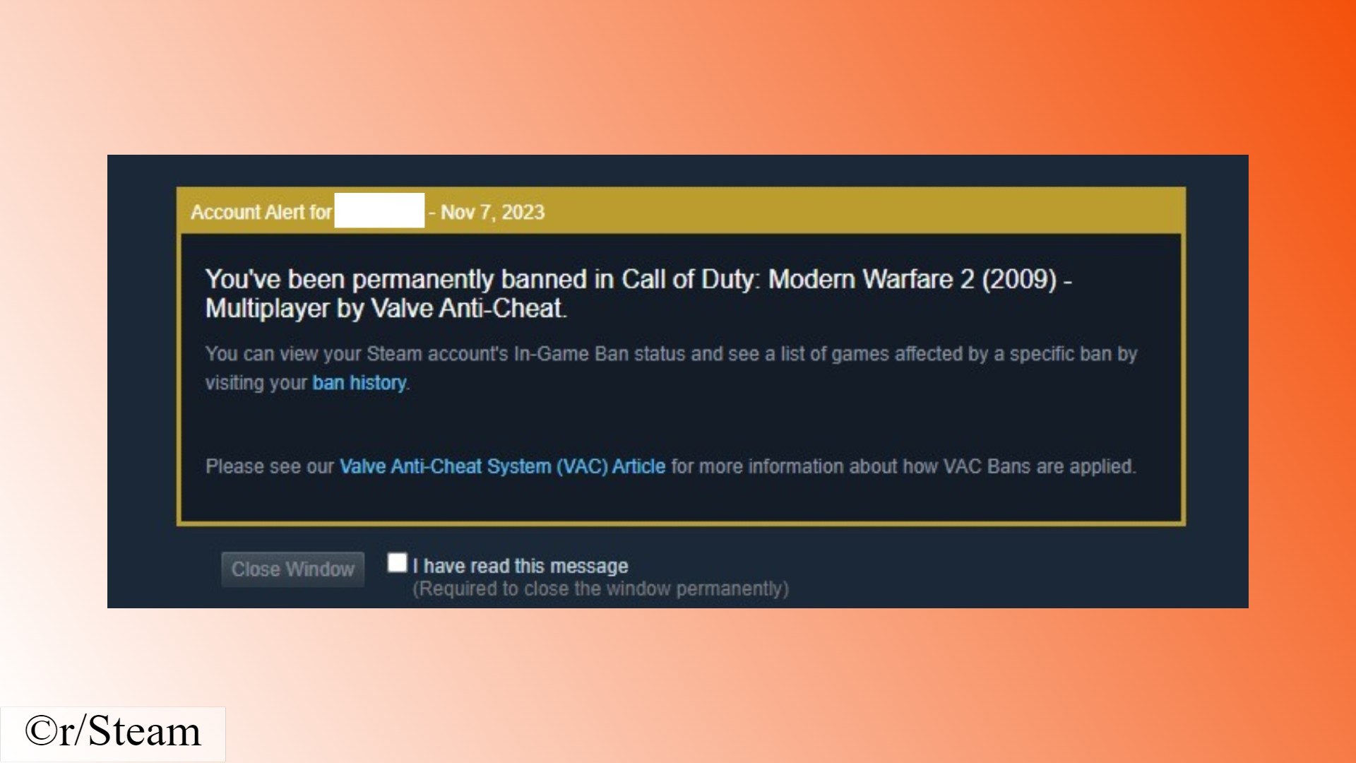 Counter-Strike Steam-Verbote: Eine Benachrichtigung von VAC über ein Verbot im FPS-Spiel Call of Duty Modern Warfare 2