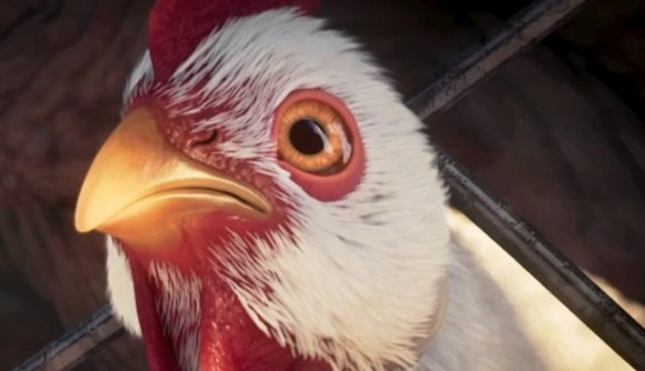 Fable 3 on Steam; The chicken that stars in the Fable 3 opening cinematic.