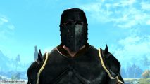 Skyrim mod Elden Ring: a man in black armor stood in front of a clear blue sky, eyes peaking through his helmet