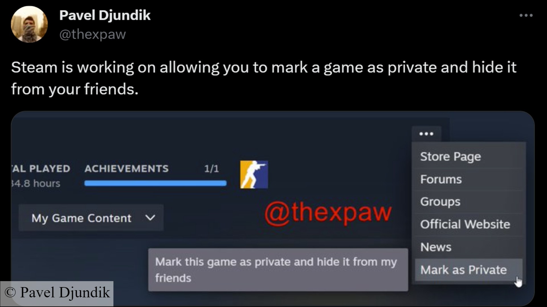 Steam update hide games: A supposed new Steam feature from Valve that lets players hide games from friends