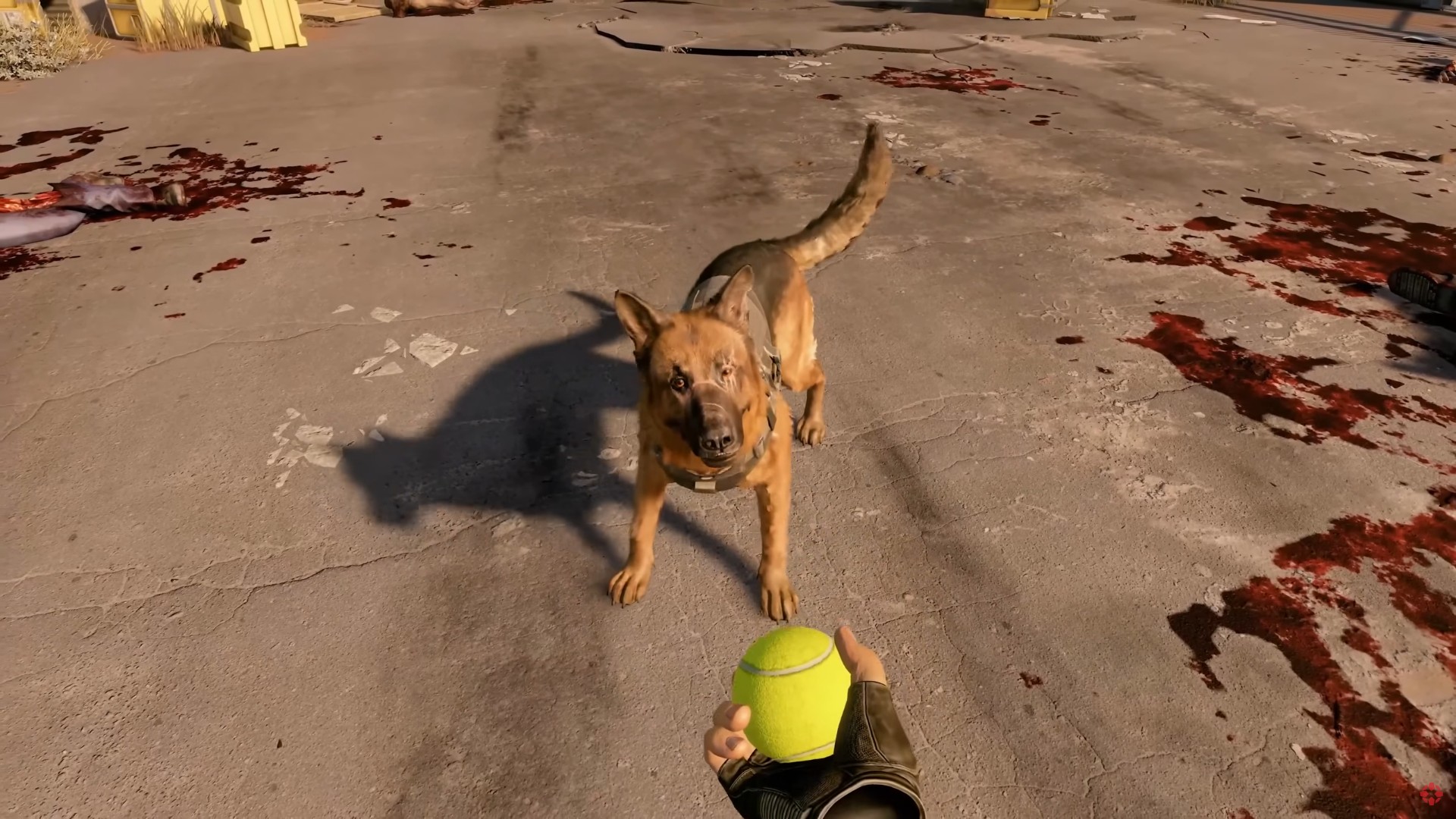First-person perspective of the protagonist throwing a ball for their dog.