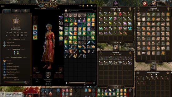 Baldur's gate 3 mod inventory mangement: an image of the BG£ inventory screen, with a mod that changes how you notice some of the elements and draws your eye