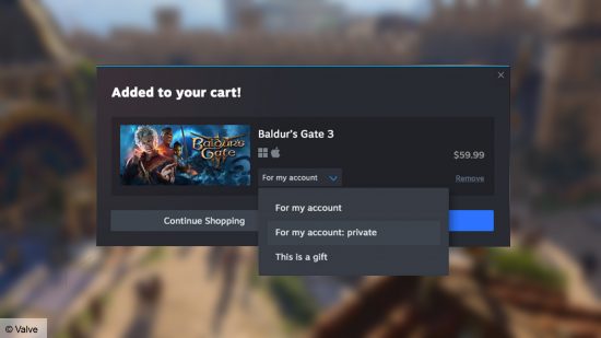 Jemand kauft Baldur's Gate 3 auf Steam und markiert es als privat. 