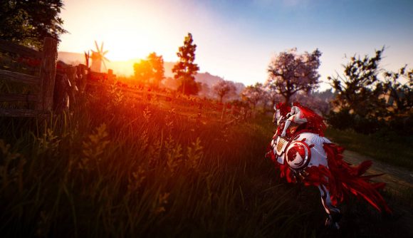 Best MMOs: Black Desert Online. Image shows a person riding a horse through a field at sunset.