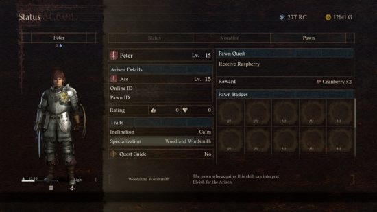 a stat screen showing information on a dragons dogma 2 pawn