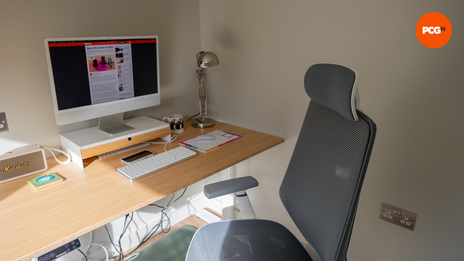 The FlexiSpot BS11 Pro chair in a home office