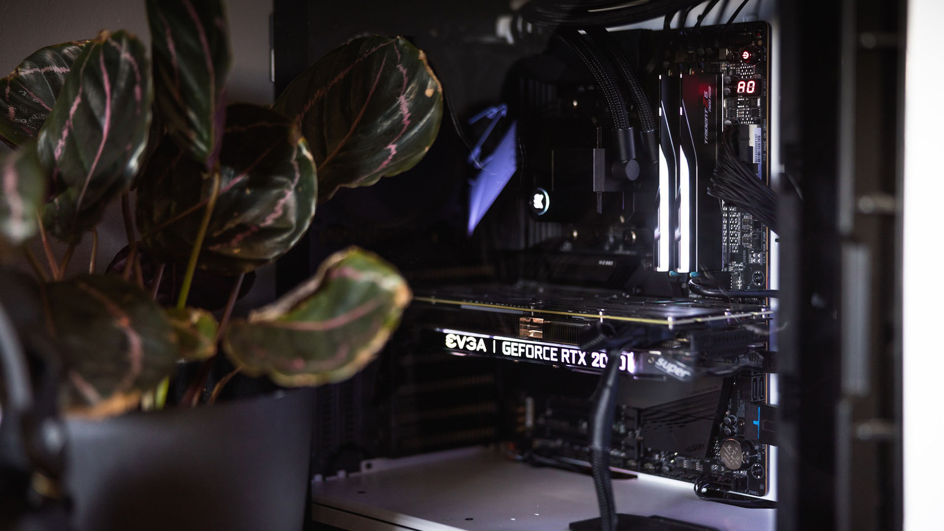 A gaming PC with an EVGA 2070 Super card next to a plant