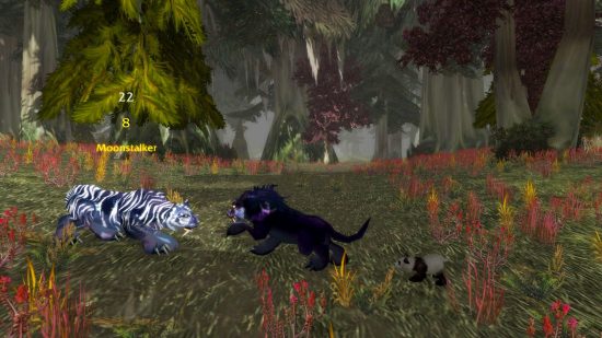 The best WoW Classic SoD Phase 2 classes: druid cat combat