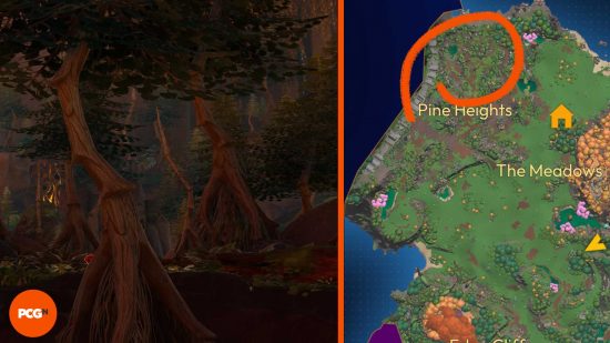 The location of Pine trees circled on the Lightyear Frontier map.