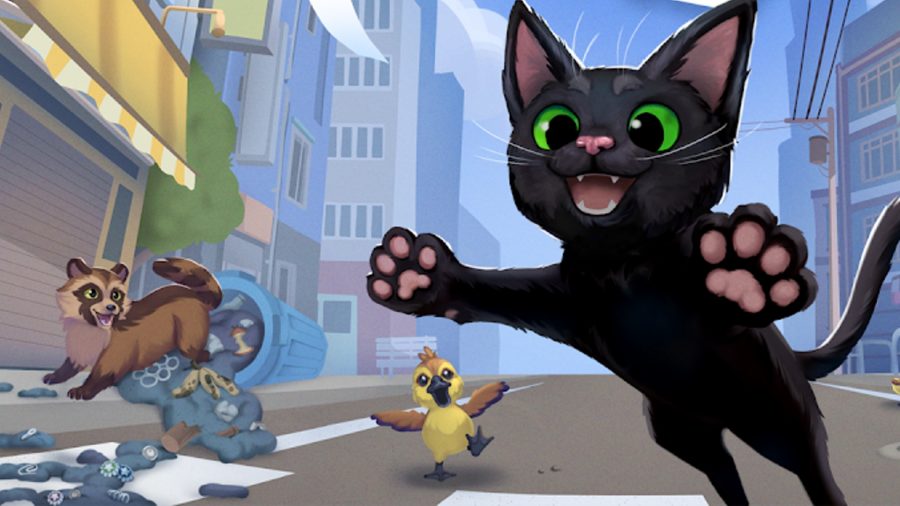A black cat plays with a chicken and a raccoon in Little Kitty Big City.