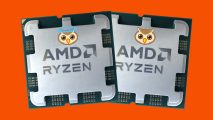 Two AMD CPUs, featuring owl emojis on their IHS with one (left) sporting a halo, against an orange background