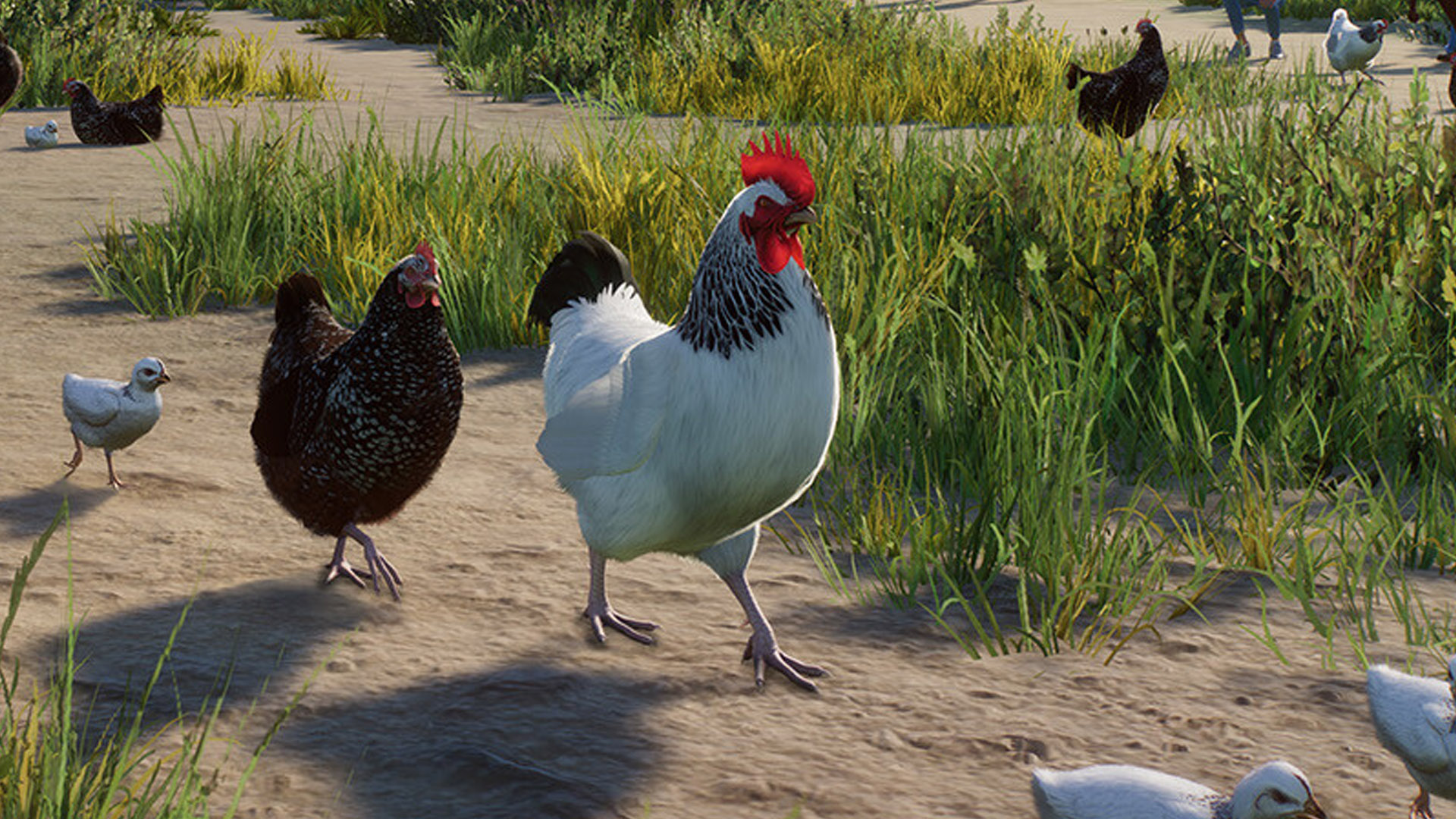 Planet Zoo becomes Planet Petting Zoo in newly announced DLC