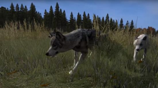 DayZ is sending wolves to eat you
