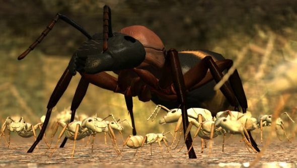 ant simulator booze and strippers