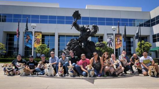 Blizzard office dogs