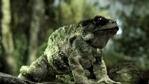 crysis-3-tesselated-toad