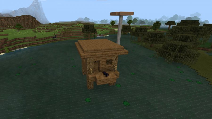 Graines de pe Minecraft, hutte de sorcière