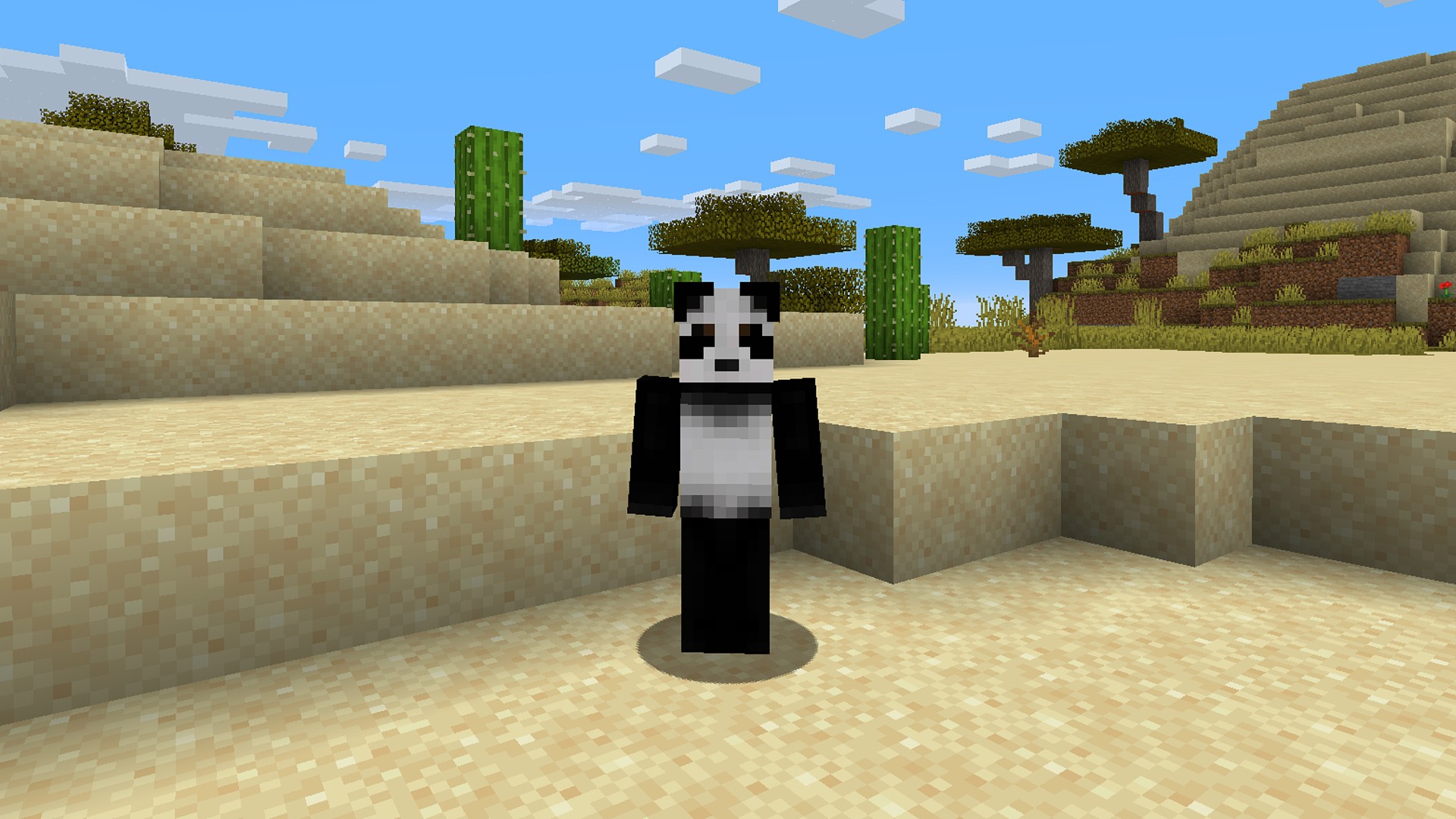 Minecraft skins: a Space Paladin is floating above a field.