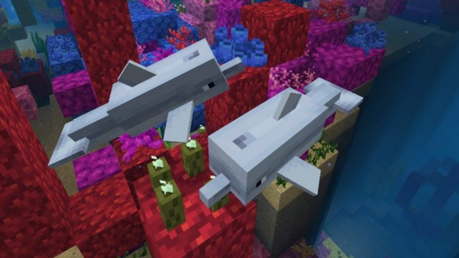 Delfín de turbas neutrales de Minecraft